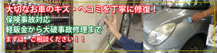 ��؂Ȃ��Ԃ̃L�Y�E�w�R�~�����ꂢ�ɏC��